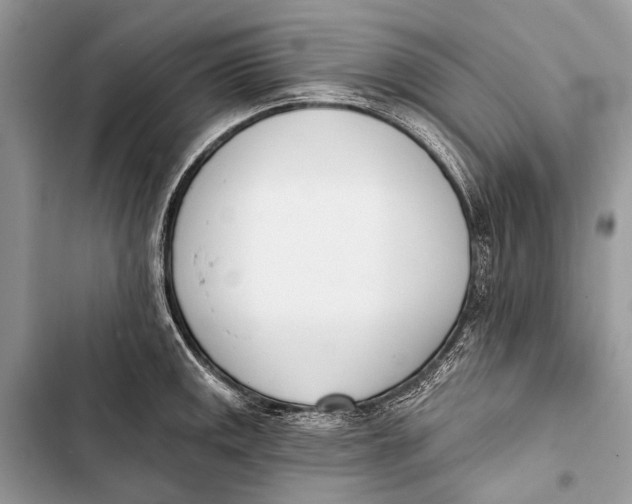 X0000103471141200810031514