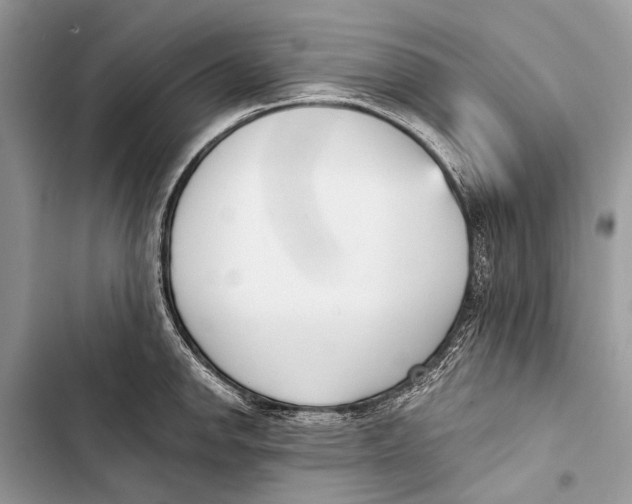 X0000103471142200810031514