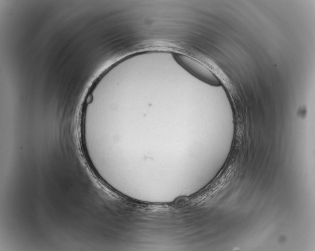 X0000103471144200810031514