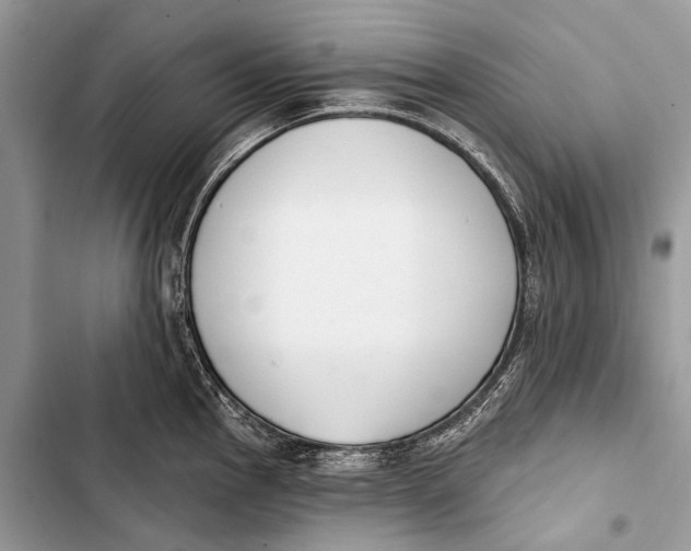 X0000103471145200810031514