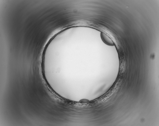 X0000103471146200810031514