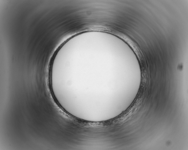 X0000103471147200810031514