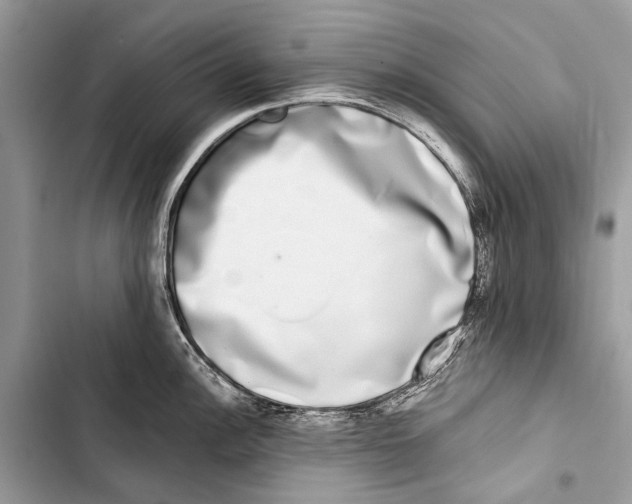 X0000103471148200810031514