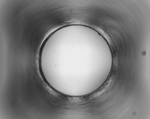 X0000103471149200810031514