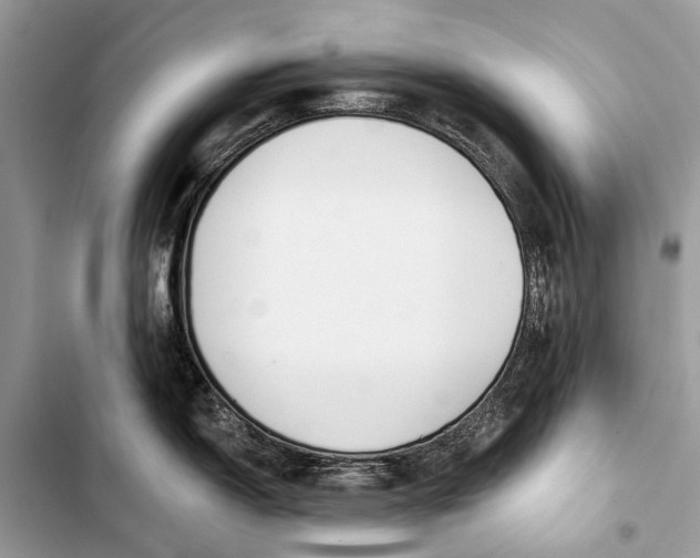 X0000103471150200810031514