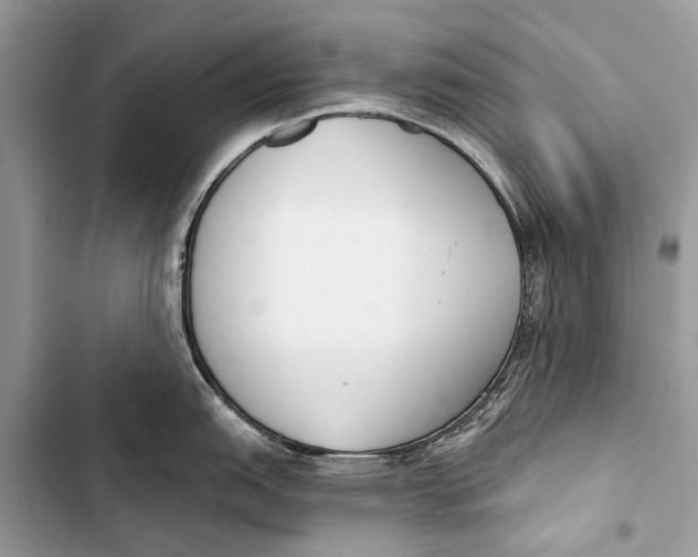 X0000103471151200810031514