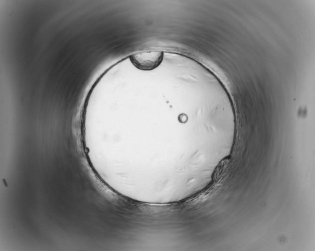 X0000103471152200810031514