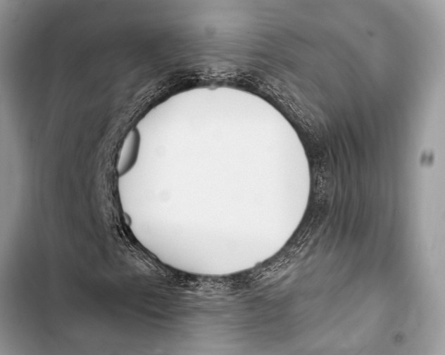 X0000103471153200810031514