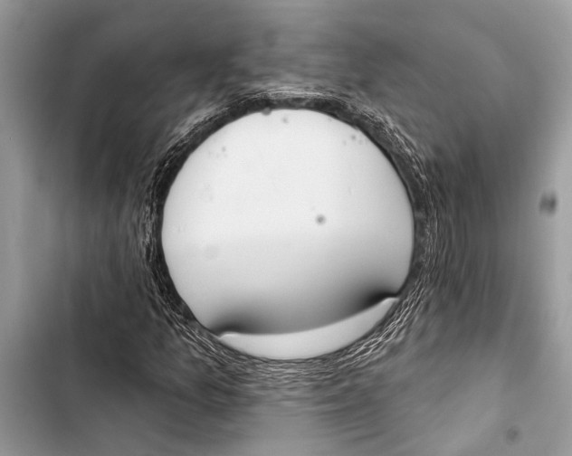 X0000103471157200810031514