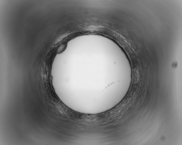 X0000103471158200810031514