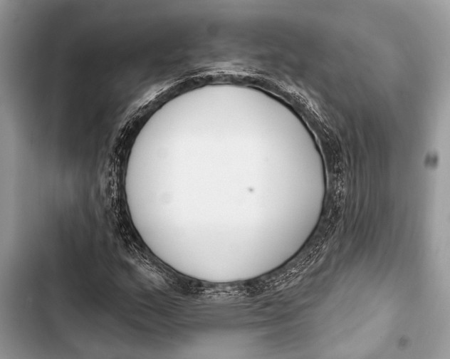 X0000103471159200810031514