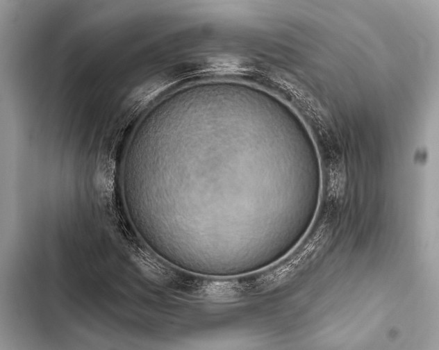 X0000103471161200810031513