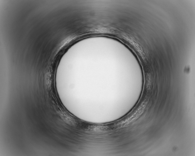 X0000103471163200810031513