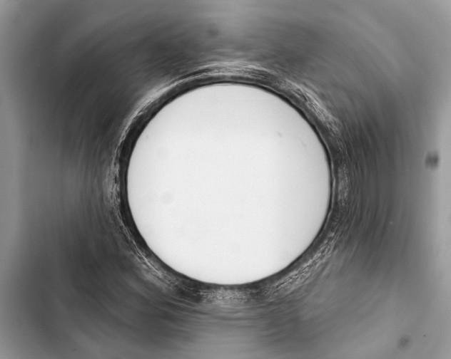 X0000103471164200810031513