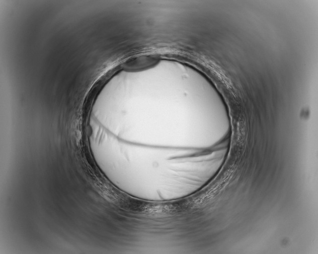 X0000103471165200810031513