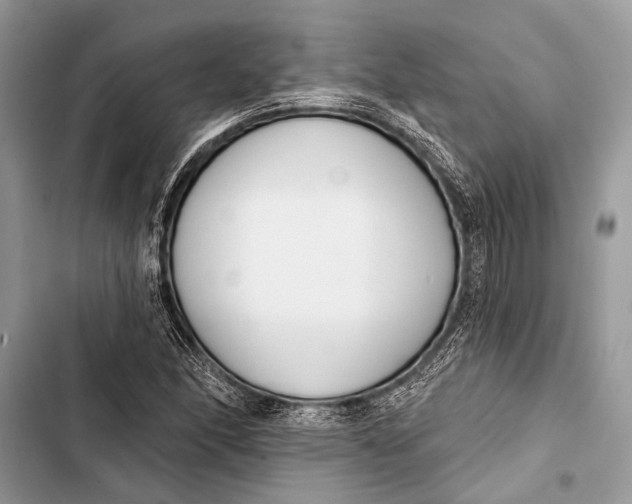 X0000103471166200810031513