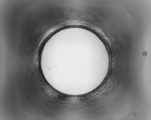 X0000103471167200810031513