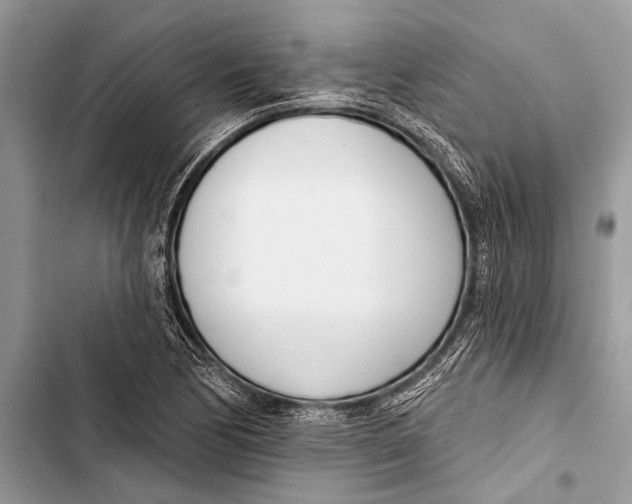 X0000103471170200810031513