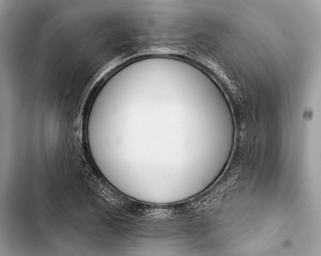 X0000103471173200810031513