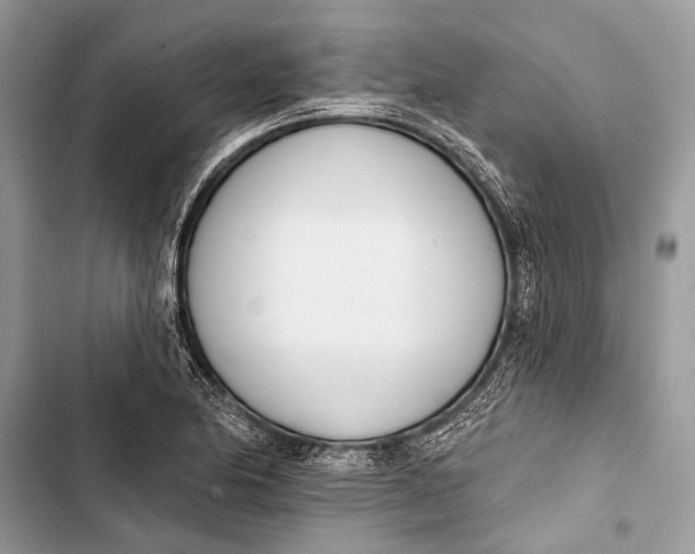 X0000103471174200810031513