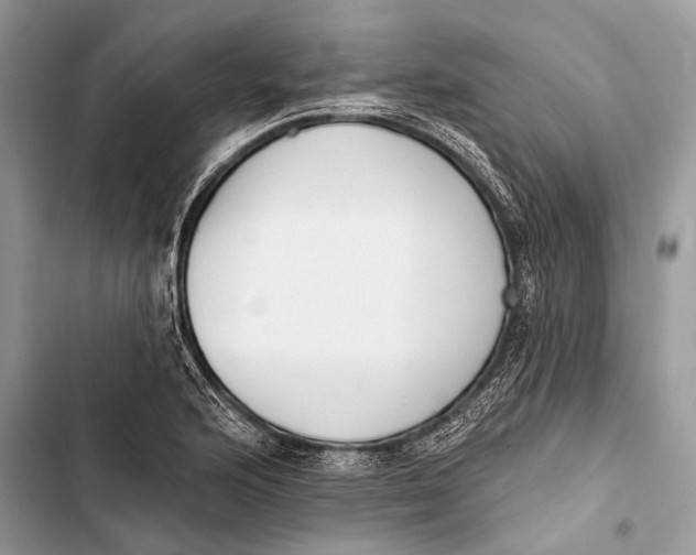 X0000103471176200810031513