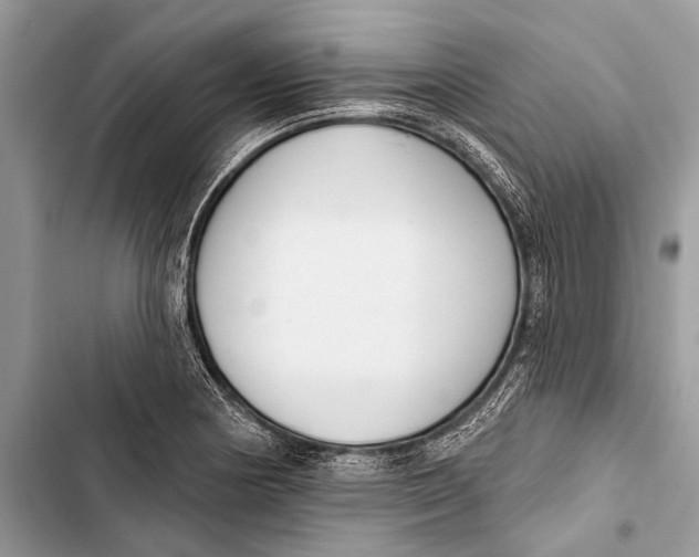 X0000103471178200810031513