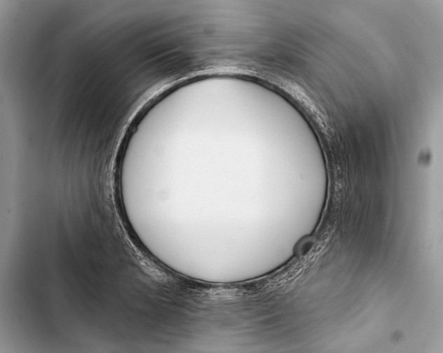 X0000103471181200810031513