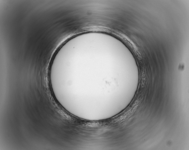 X0000103471182200810031513