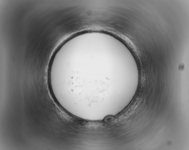 X0000103471183200810031513