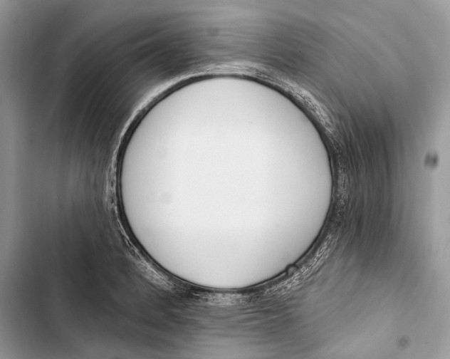 X0000103471184200810031513