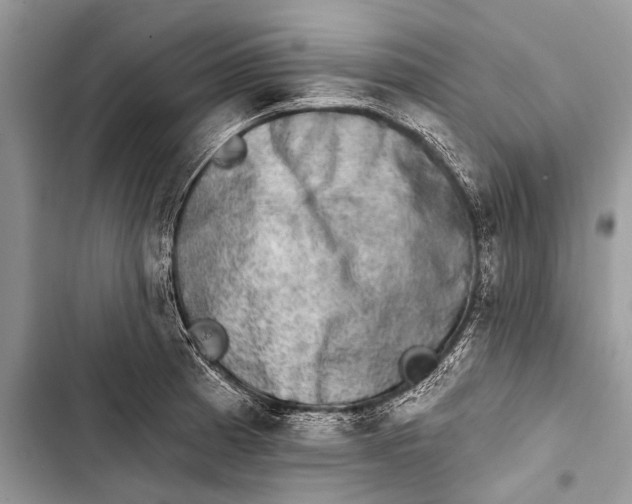 X0000103471185200810031513