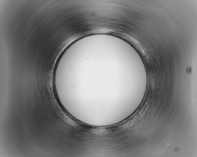 X0000103471186200810031513