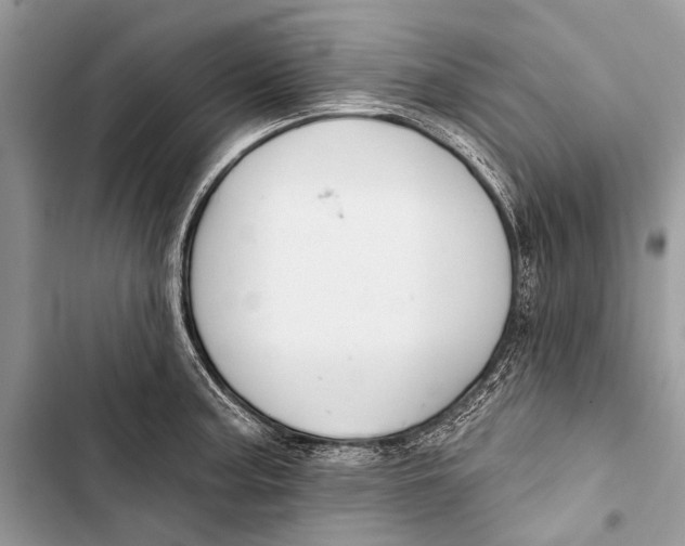 X0000103471187200810031513