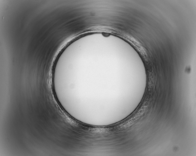 X0000103471188200810031513