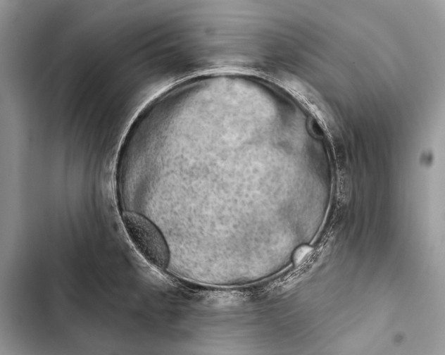 X0000103471189200810031513