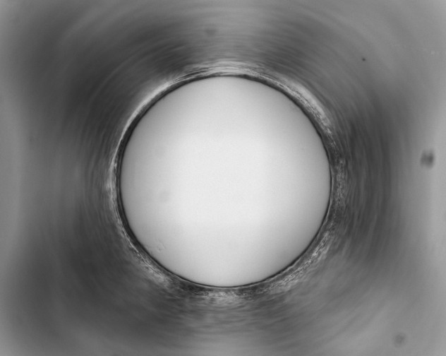 X0000103471190200810031513