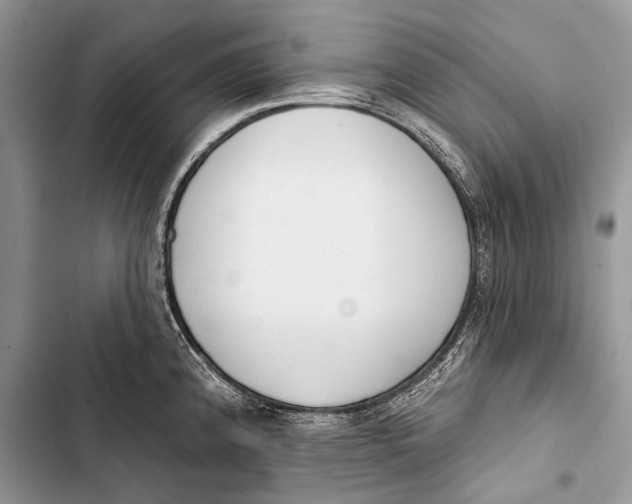 X0000103471192200810031513