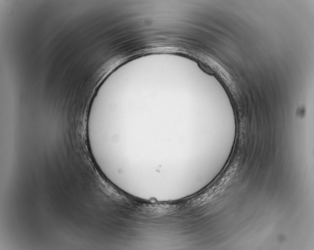 X0000103471193200810031513