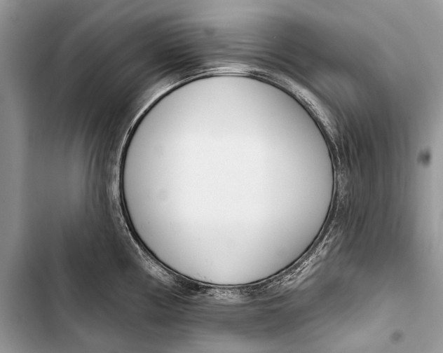 X0000103471194200810031513