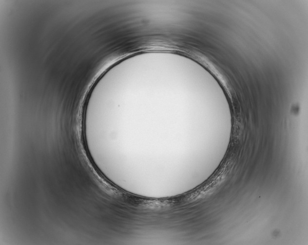 X0000103471195200810031513