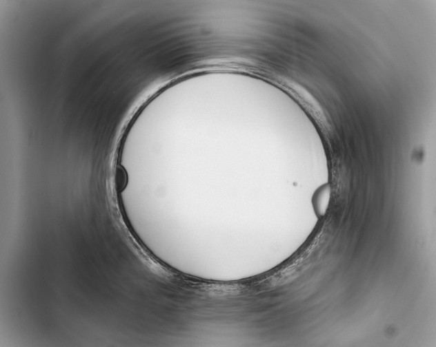 X0000103471196200810031513