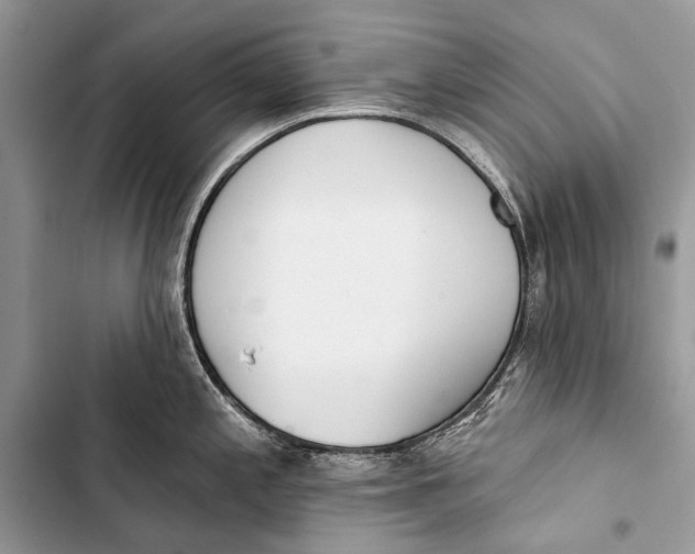 X0000103471197200810031513