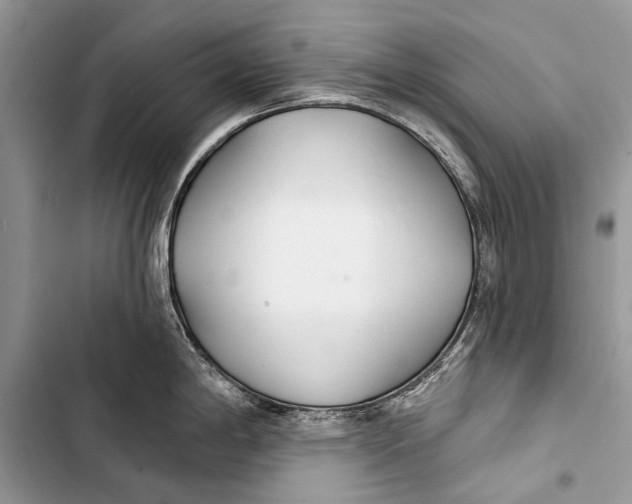 X0000103471198200810031513