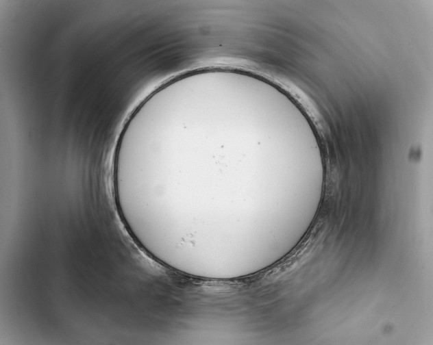 X0000103471199200810031513