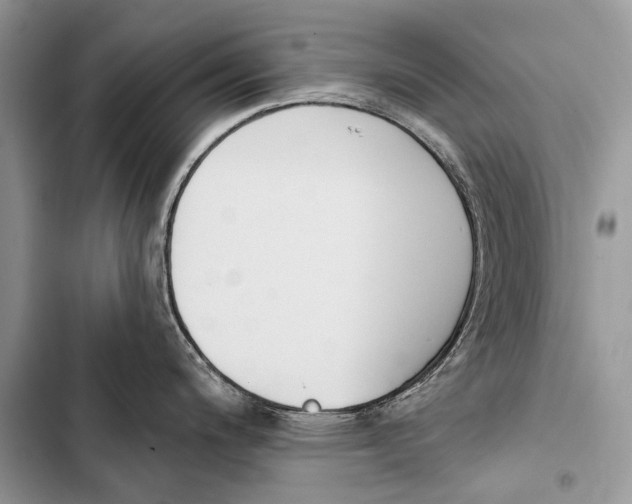 X0000103471200200810031513