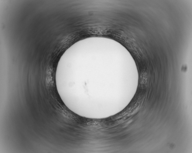 X0000103471202200810031512