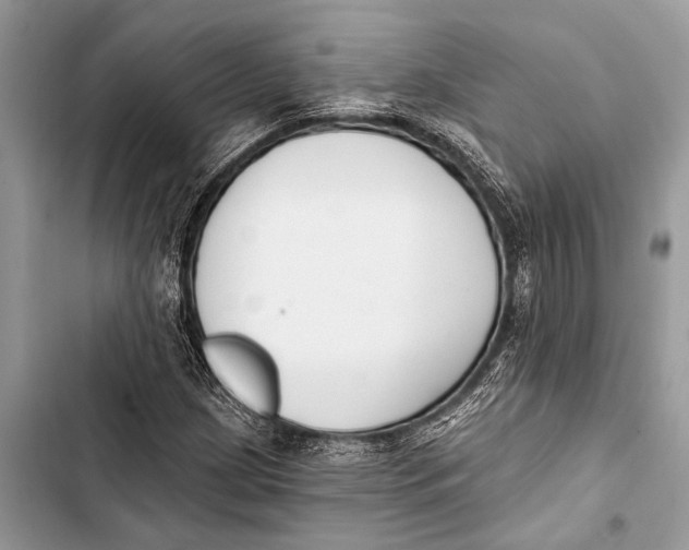 X0000103471209200810031512