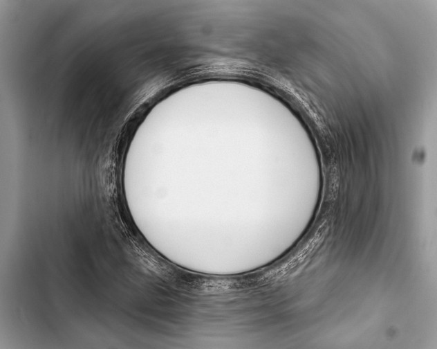 X0000103471211200810031512