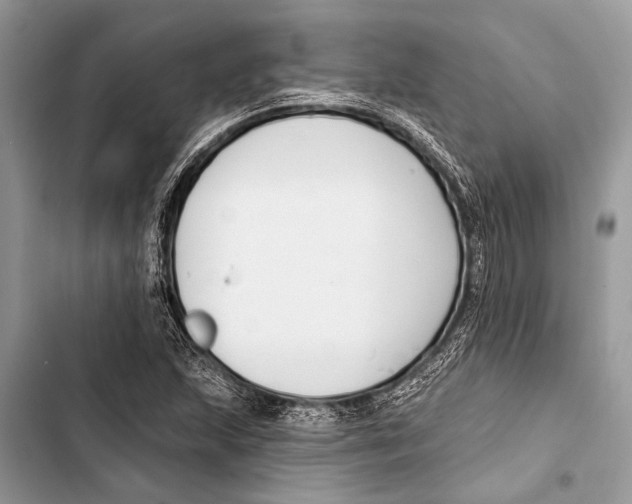 X0000103471215200810031512