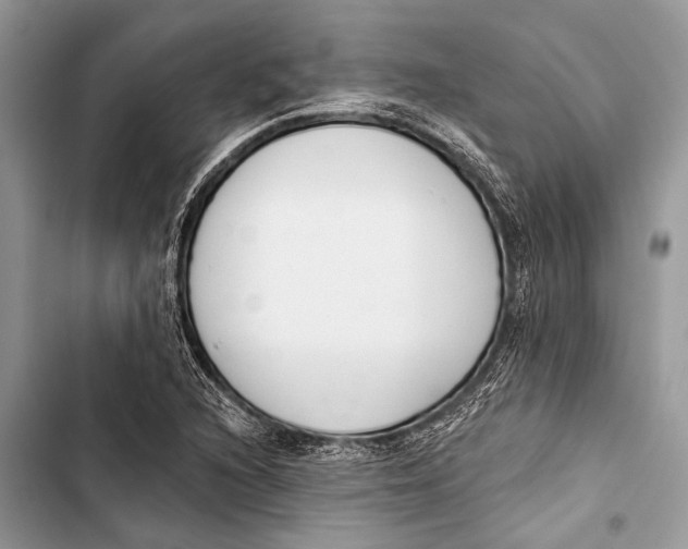 X0000103471216200810031512